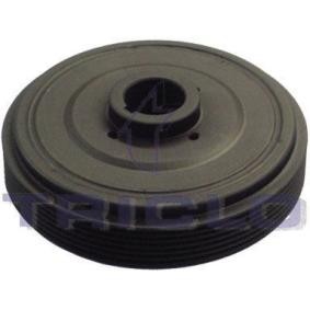 Achetez des Poulie damper (vilebrequin) TRICLO 421207 à prix pour 69,06 €