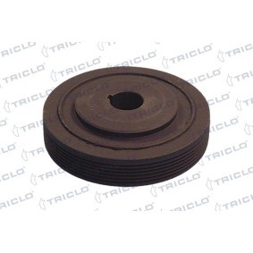 Achetez des Poulie damper (vilebrequin) TRICLO 421208 à prix pour 47,26 €