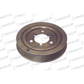 Achetez des Poulie damper (vilebrequin) TRICLO 421216 à prix pour 60,95 €