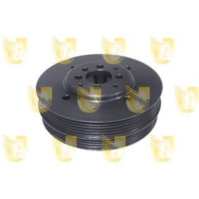 Comprar Polea de cigüeñal de UNIGOM 421845 a bajo precio de 147,78 €