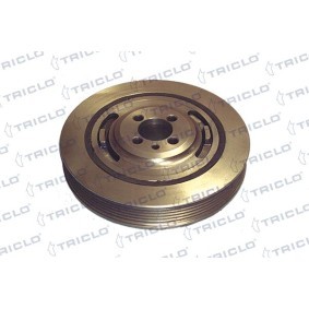 Achetez des Poulie damper (vilebrequin) TRICLO 424083 à prix pour 68,87 €