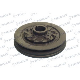 Achetez des Poulie damper (vilebrequin) TRICLO 426001 à prix pour 109,90 €