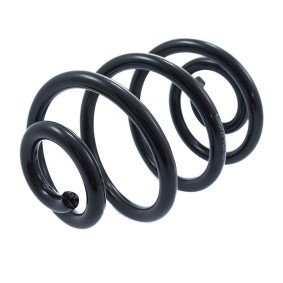 Köp Spiralfjäder av MASTER-SPORT 4285721-PCS-MS till det låga priset 385,51 kr
