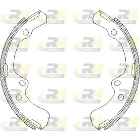 Bremsbacke 4391.00