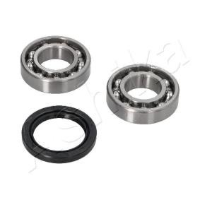 Radlagersatz 44-17004 von ASHIKA günstig für 30,85 € online kaufen