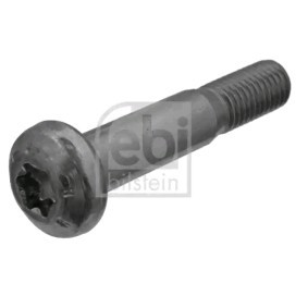 Osta Puristusruuvi, pallonivel FEBI BILSTEIN:llä 45878 edullisesti hintaan 4,78 €
