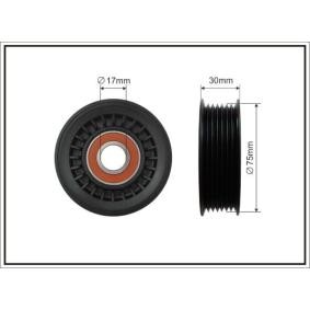 Acquista Galoppino guidacinghia, cinghia Poly-V da CAFFARO 462-00 a buon mercato per soli 14,11 €
