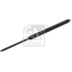 Achetez des Vérin de coffre FEBI BILSTEIN 47061 à prix pour 33,55 €