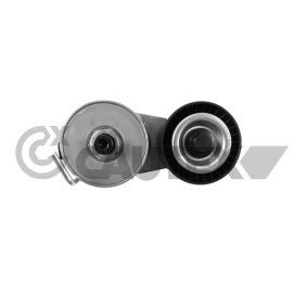 Comprar Brazo tensor, correa poli V de CAUTEX 480913 a bajo precio de 58,79 €