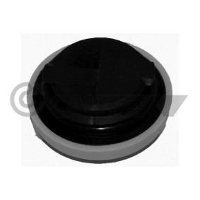 Achetez des Bouchon de remplissage d'huile CAUTEX 481066 à prix pour 51,48 €