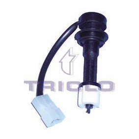 Kühlmittelstand-Sensor 484528