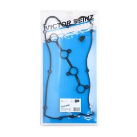 Achetez des Jeu de joints d'étanchéité, couvercle de culasse REINZ 15-53484-01 à prix pour 18,92 €