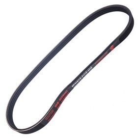 Achetez des Courroie d'alternateur de chez MASTER-SPORT en ligne pour Stilo Multi Wagon (192) à prix modérés