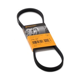 Compre Correia trapezoidal estriada da CONTITECH 4PK820 a um preço baixo por 10,03 €