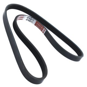 Achetez des Courroie Poly-V MASTER-SPORT 4PK875-PCS-MS à prix pour 7,62 €
