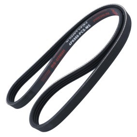 Keilrippenriemen von MASTER-SPORT für SIGMA (F2_A, F1_A) günstig online kaufen