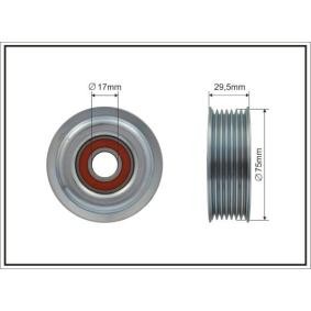 Achetez des Galet enrouleur de courroie d'accessoire CAFFARO 500103 à prix pour 34,39 €