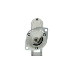 Lichtmaschine von BV PSH