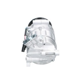 Lichtmaschine von BV PSH