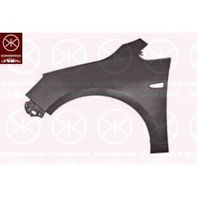 Kotflügel 5053311A1