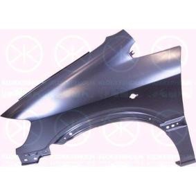 Kotflügel 5062311A1