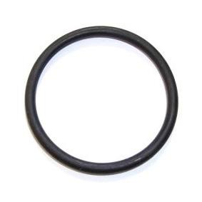 Dichtung, Thermostat 098.418