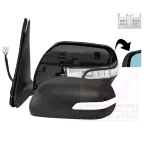 Acquista Specchietto retrovisore esterno da VAN WEZEL 5250827 a buon mercato per soli 226,86 €