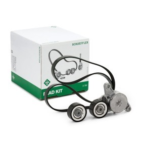 Keilrippenriemensatz 529 0154 10 für MINI