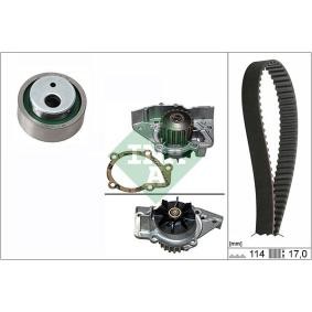 Achetez des Kit de distribution + pompe à eau INA 530 0258 31 à prix pour 81,04 €