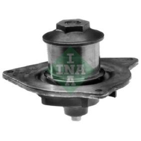 Wasserpumpe 538 0678 10 CHRYSLER VISION von INA