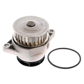 Osta Vesipumppu MASTER-SPORT:llä 540-WP-PCS-MS edullisesti hintaan 35,07 €