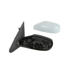 Acquista Specchietto retrovisore da BLIC online per California Westfalia T4 Bus (7DJ, 7DK, 70J) a prezzi moderati