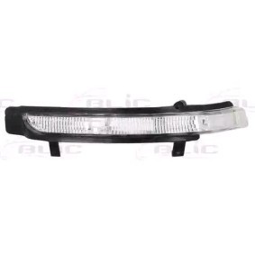 Blinker von BLIC 5403-43-009106P