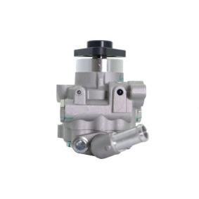 Servopumpe 55.0049 von LAUBER günstig für 135,01 € online kaufen
