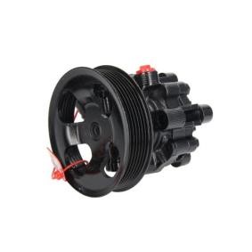 Servopumpe 55.6095 von LAUBER günstig für 173,49 € online kaufen