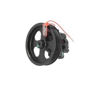 Servopumpe 55.6176 von LAUBER günstig für 143,83 € online kaufen