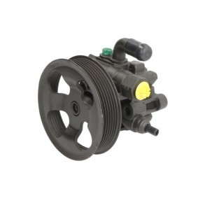 Servopumpe 55.6191 von LAUBER günstig für 178,59 € online kaufen