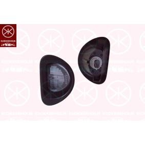 Kennzeichenbeleuchtung 55010850