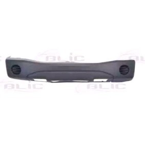 Achetez des Pare-choc BLIC 5510-00-0925900P à prix pour 62,05 €