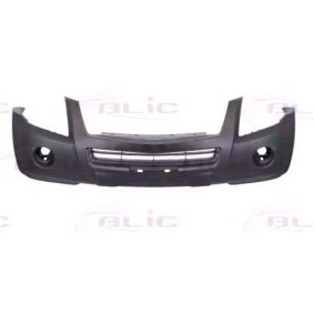 Achetez des Pare-choc BLIC 5510-00-3053901P à prix pour 81,30 €