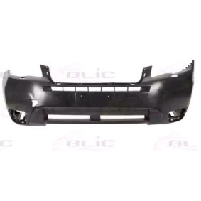 Achetez des Pare-choc BLIC 5510-00-6738900P à prix pour 187,12 €