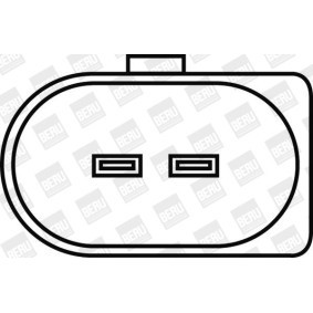 Compre Sensor de rotações, gestão do motor da BERU SD012 a um preço baixo por 38,88 €