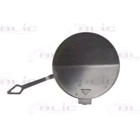 Klappe, Abschlepphaken 5513-00-0069920P