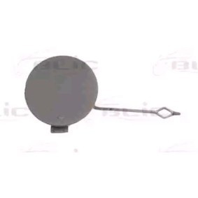 Klappe, Abschlepphaken 5513-00-0070920P