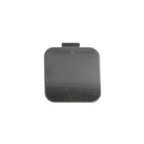 Klappe, Abschlepphaken 5513-00-3514970P