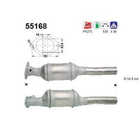 Katalysator 55168