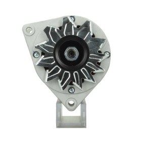 Lichtmaschine 555.013.070.011