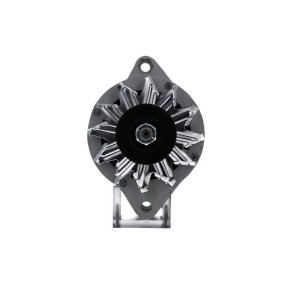 Lichtmaschine von BV PSH 556.010.035.215