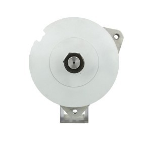 Lichtmaschine von BV PSH 556.019.140.010