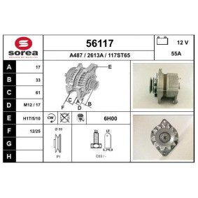 Lichtmaschine von EAI